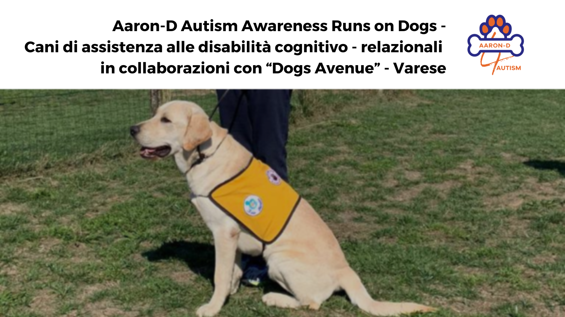 Aaron-d autism awareness (1)